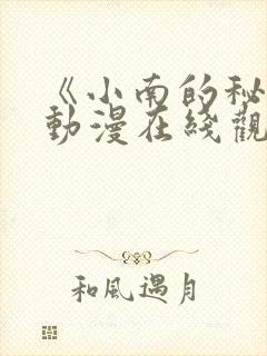 《小南的秘密》动漫在线观看全集免费