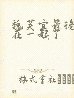 魏芙宜最后和谁在一起了