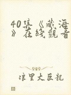 40集《藏海传》在线观看21集