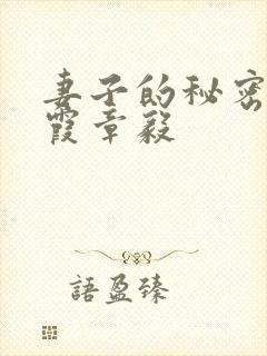 妻子的秘密韩晴霞章毅