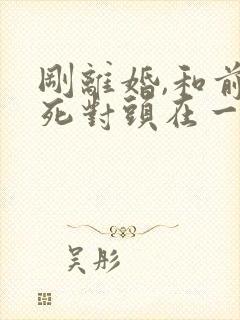 刚离婚,和前妻死对头在一起了小说免费阅读