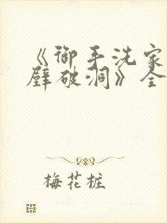 《御手洗家的墙壁破洞》全集免费观