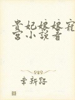 贵妃娘娘宠冠后宫小说看