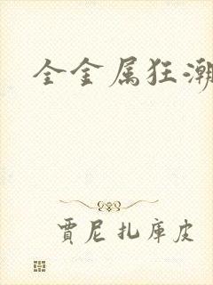 全金属狂潮小说