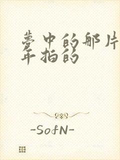 梦中的那片海哪年拍的封面