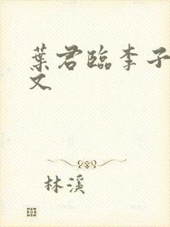 叶君临李子染全文