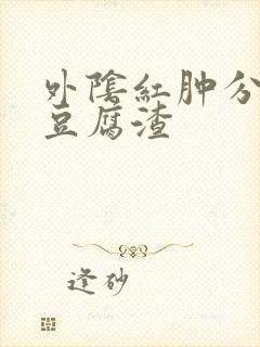 外阴红肿分泌物豆腐渣