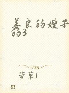 善良的嫂子的的的3封面