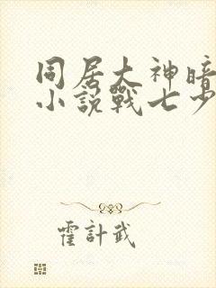 同居大神暗恋我小说战七少免费阅读封面