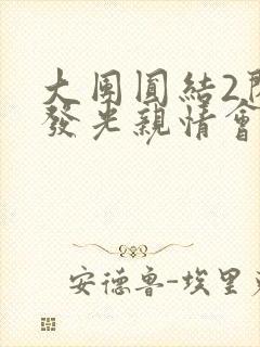 大团圆结2闪闪发光亲情会