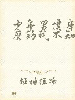 少年男仆库洛什么的我不知道