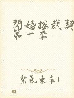 闪婚总裁契约妻第一季