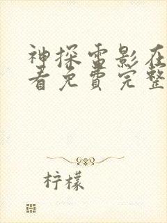 神探电影在线观看免费完整版封面