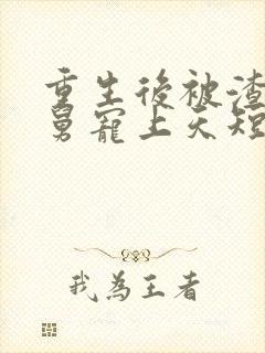 重生后被渣男舅舅宠上天短剧免费看