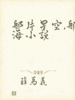那片星空,那片海小说