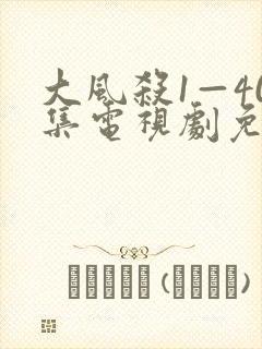 大风杀1—40集电视剧免费观看