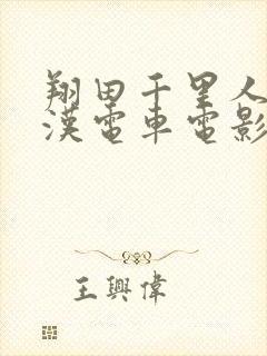 翔田千里人妻痴汉电车电影封面