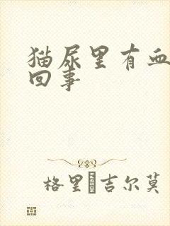 猫尿里有血怎么回事