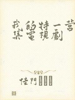 我的特一营41集电视剧