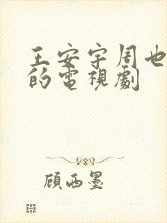 王安宇周也主演的电视剧