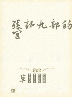 张译九部的检察官