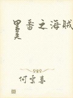 里番之海贼王娜美