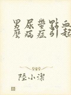 男尿带点血是什么病症引起的