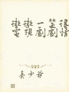 微微一笑很倾城电视剧剧情