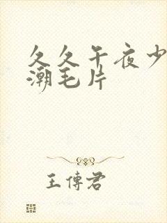 久久午夜少妇高潮毛片