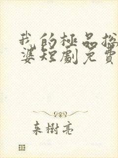 我的极品总裁老婆短剧免费观看