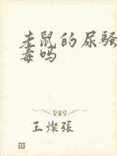 老鼠的尿骚味有毒吗