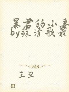 暴君的小妻奴妻by苏清歌最新章节