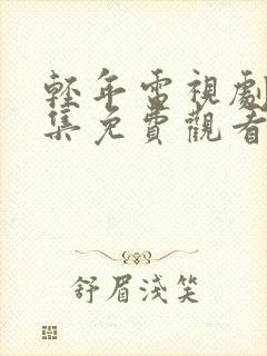 轻年电视剧40集免费观看全集