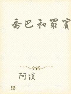 乔巴和罗宾本子