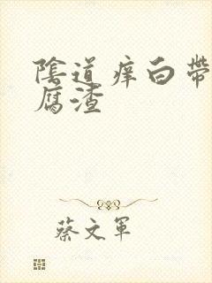 阴道痒白带黄豆腐渣