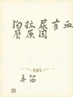 狗拉尿有血是什么原因