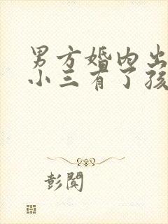 男方婚内出轨和小三有了孩子犯法吗