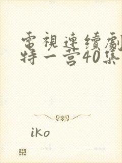 电视连续剧我的特一营40集