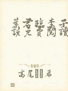 叶君临李子染小说免费阅读