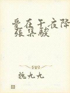 爱在午夜降临前 张集骏