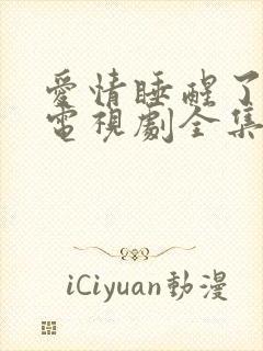 爱情睡醒了高清电视剧全集在线观看