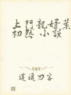 上门龙婿叶辰萧初然 小说封面