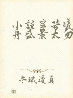 小说宁若曦沈砚舟盛景太匆匆在线阅读