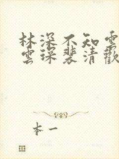 林深不知云海许云琛裴清欢