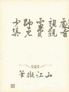 少帅电视剧48集免费观看高清