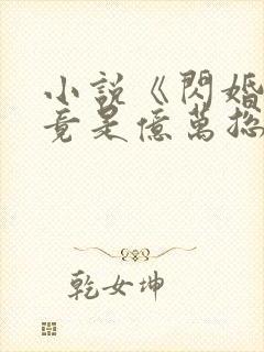 小说《闪婚老公竟是亿万总裁》封面