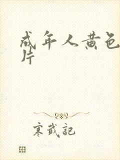 成年人黄色录象片
