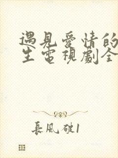 遇见爱情的利先生电视剧全集剧