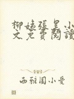 柳姨张昊小说全文免费阅读