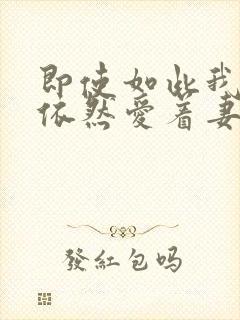 即使如此我还是依然爱着妻子